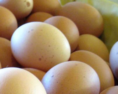 半熟のゆで卵の作り方